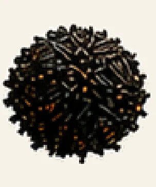 Black Rice